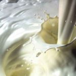 Milk Cream Half and Half