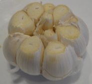 garlic-with-top-cut-off