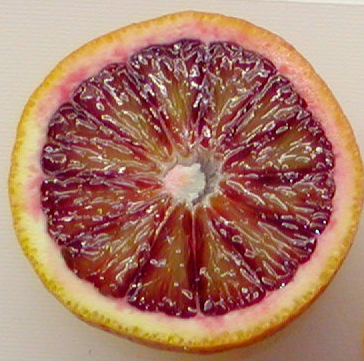 How to Tell If a Blood Orange is Bad? 