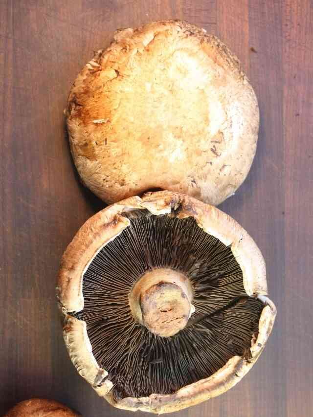 How to Clean Portobello Mushrooms
