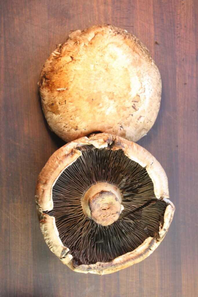 Portobello Mushrooms (19)